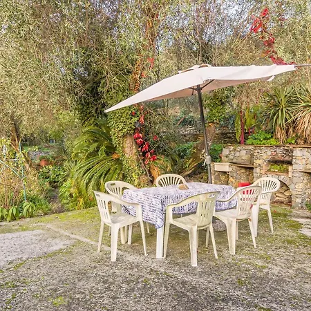 3 Bedroom Pet Friendly In * Zoagli