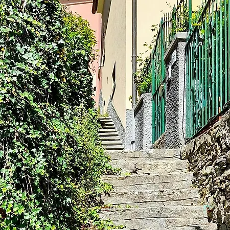 3 Bedroom Pet Friendly In Zoagli