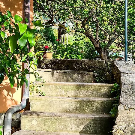 3 Bedroom Pet Friendly In Zoagli